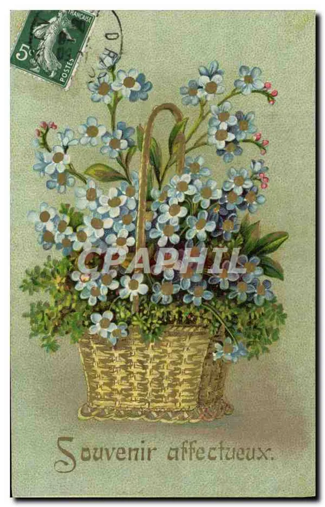 Bouquet de fleurs dans un panier — Souvenir affectueux — éditeur non visible - Frente