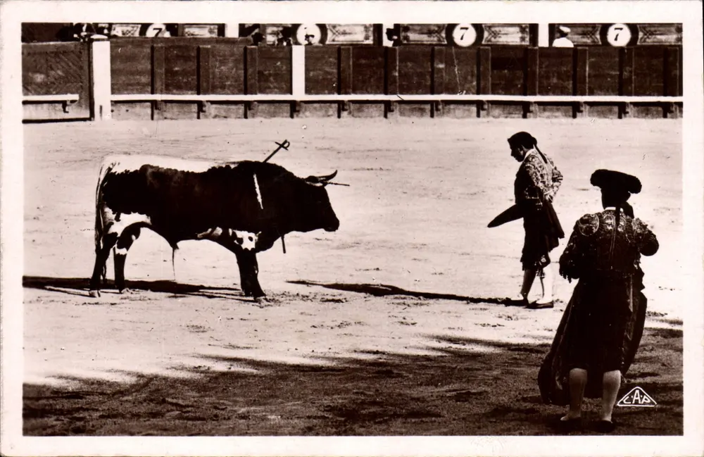 Corrida de touros — Depois da estocada — 'Real-Photo' C. A. P. Strasbourg - Frente