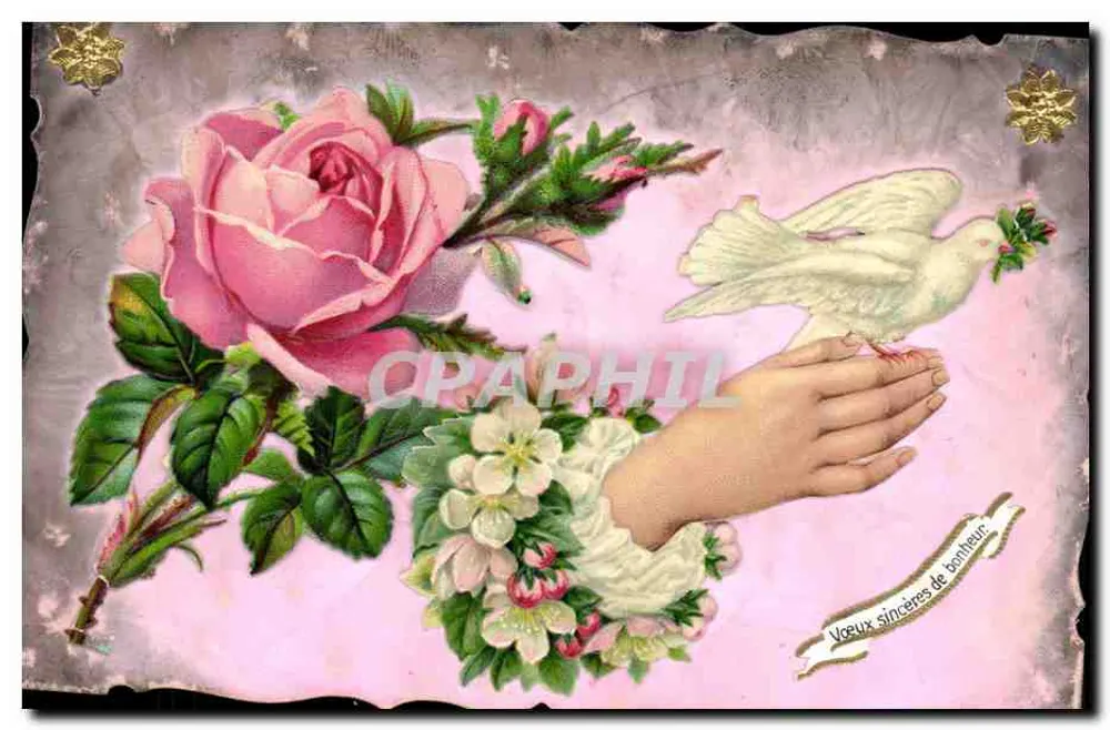 Pappagallo bianco e rosa — Auguri sinceri di felicità — editore non visibile - Recto