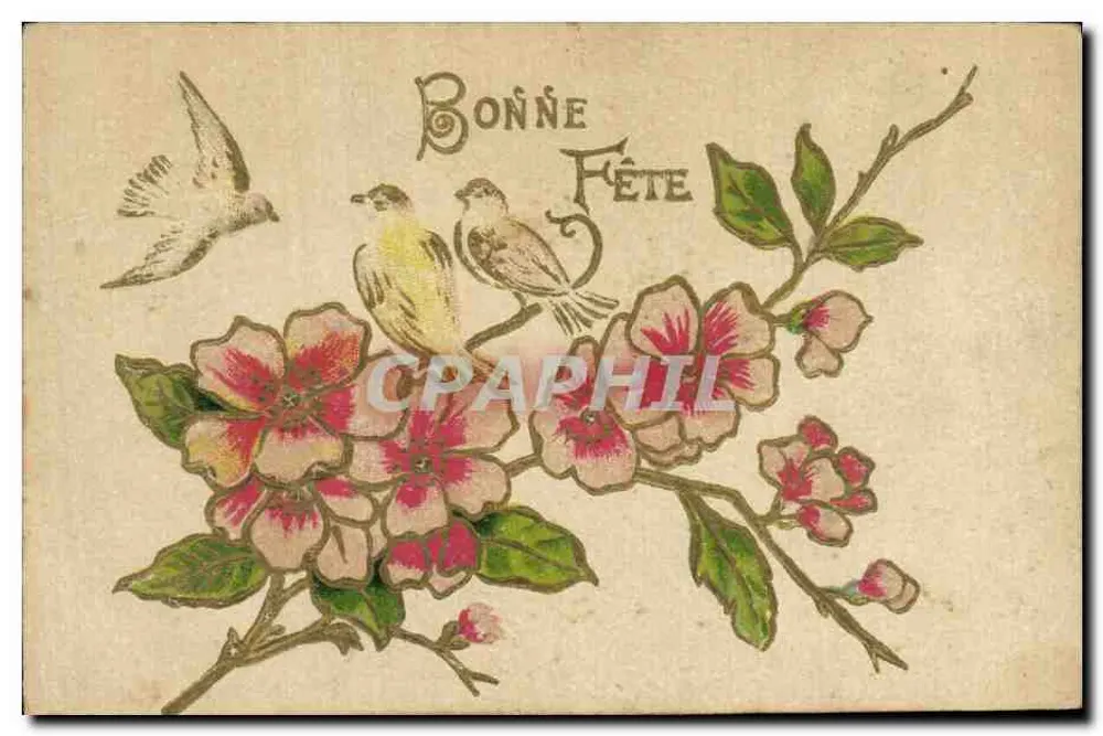 Flores e pássaros — Boas Festas — Carta postal francesa - Frente