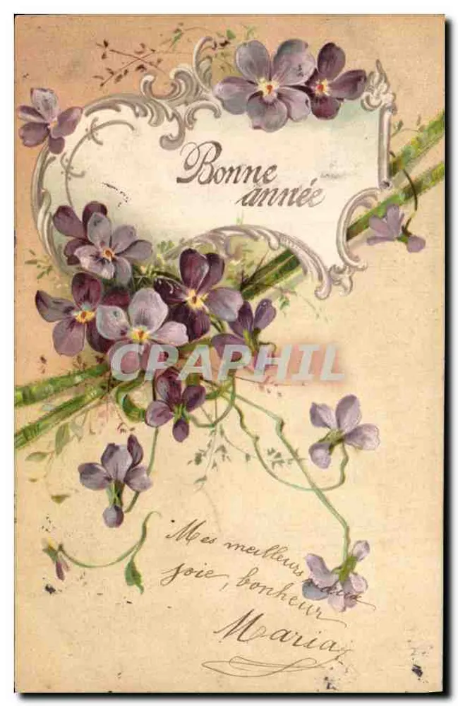 Violetas — Boa Ano — editor não visível - Frente