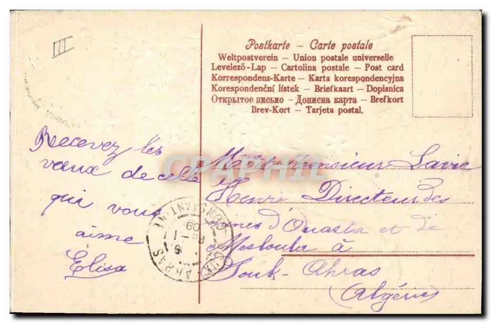 Mata de myosotis — Boa Ano — editor desconhecido - Verso