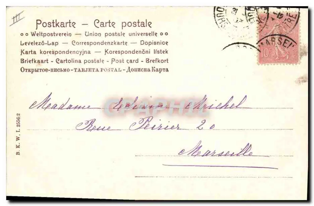 Kalender 1904 — Jasminblüten — Verlag nicht sichtbar - Rückseite