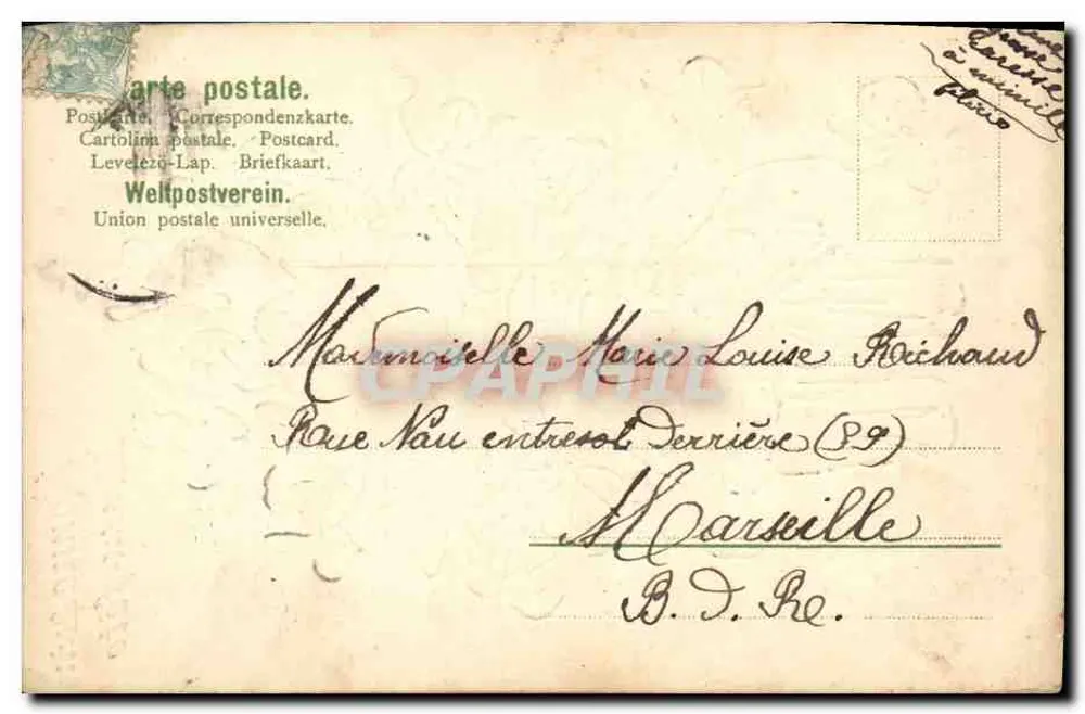 Arranjo de violetas — Feliz aniversário — editor Levezeo-Lap, número de série não visível - Verso