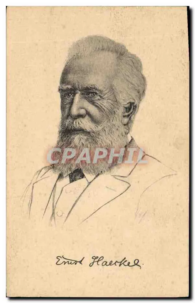 Ernst Haeckel — Portret rytowany — Stöngel & Co., Dresden 19106 - Awers