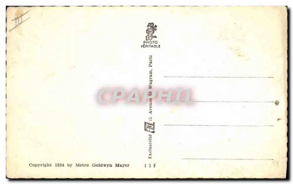 ज़्ज़ा ज़्ज़ा गैबोर - पोर्ट्रेट - मेट्रो गोल्डविन मेयर, संख्या 509 - पीछे