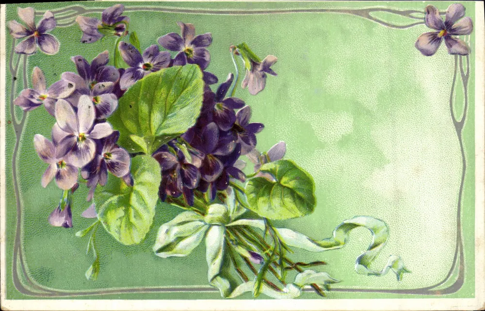 Violetas — buquê amarrado com uma fita — editor não visível - Frente