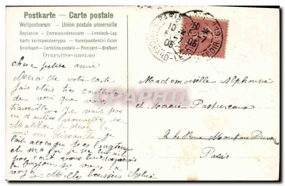 Violetas — buquê amarrado com uma fita — editor não visível - Verso