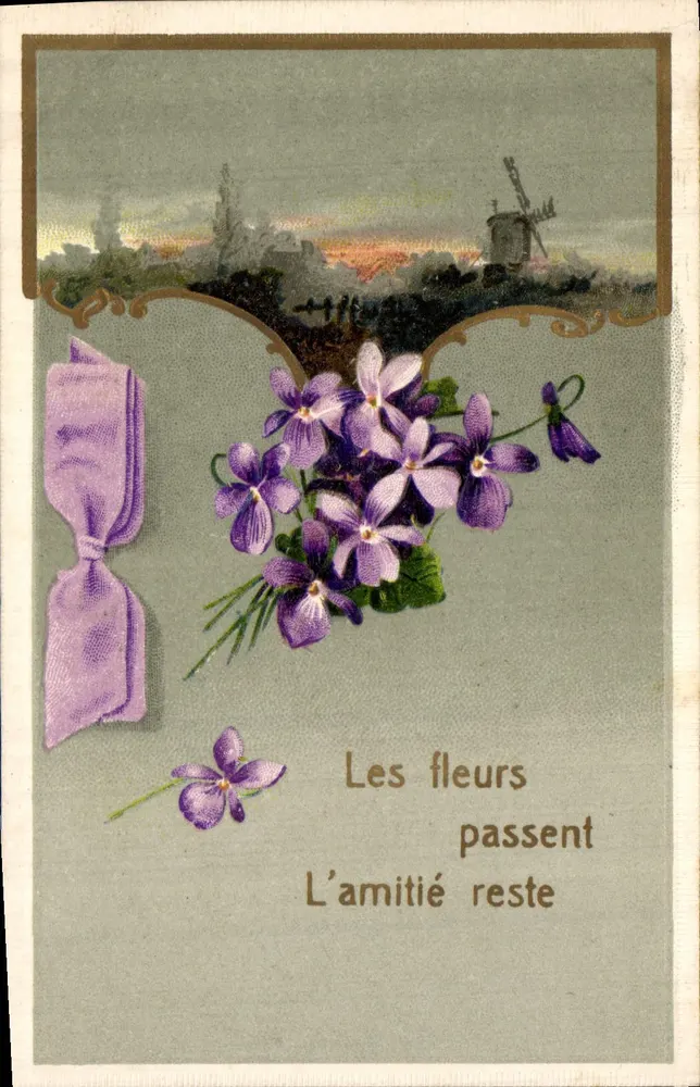Violetas — As flores passam, a amizade permanece — editor não visível - Frente
