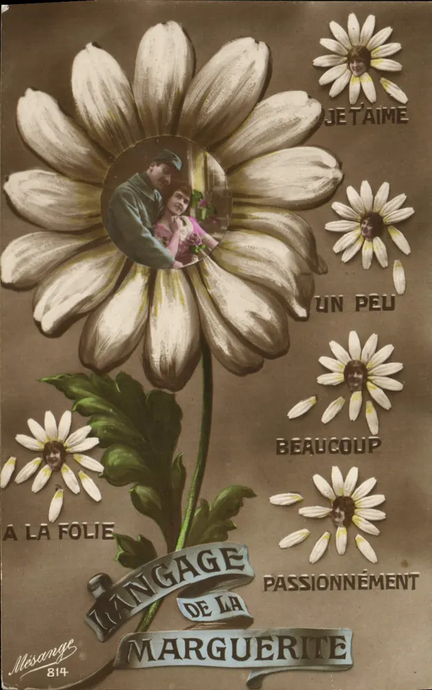 Sprache der Margerite — Mesange 814 - Vorderseite