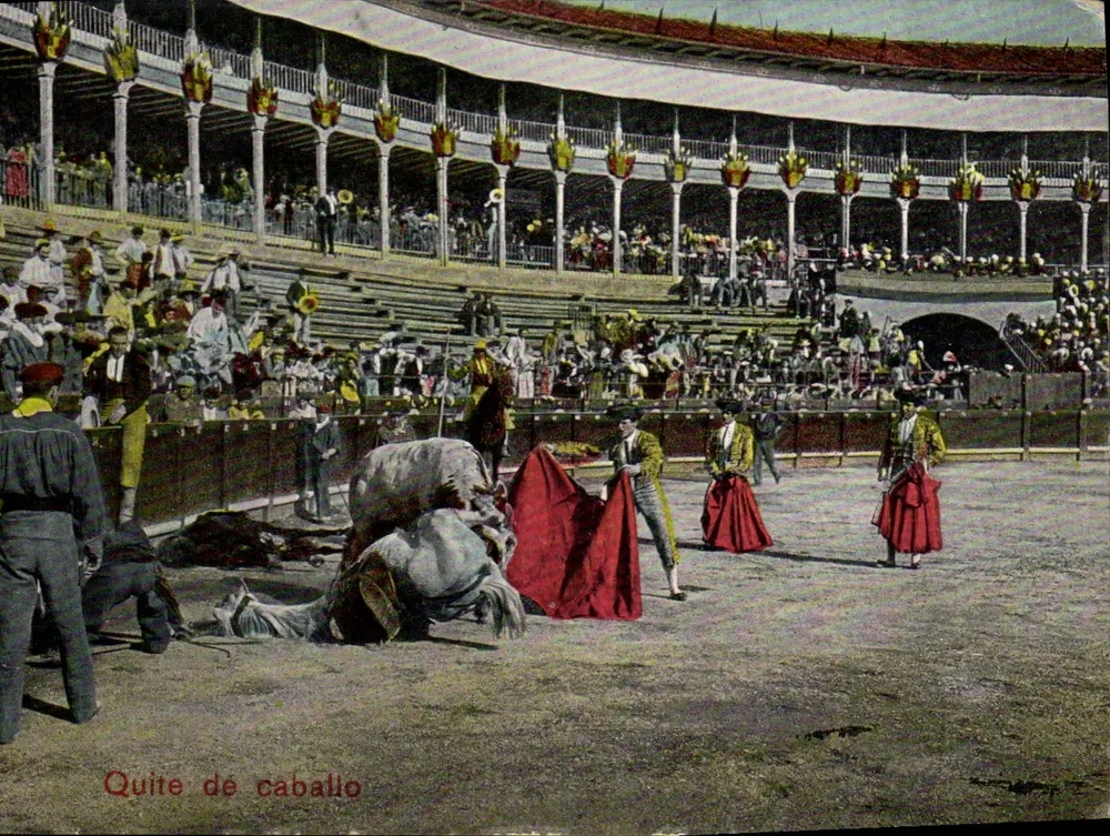 Cena de cavalo — espetáculo de tauromaquia — 3529 - Frente