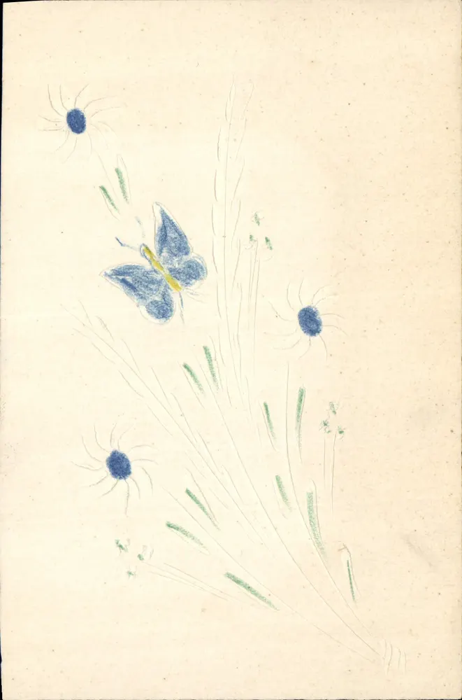 Mariposa entre margaridas — ilustração — H - Frente
