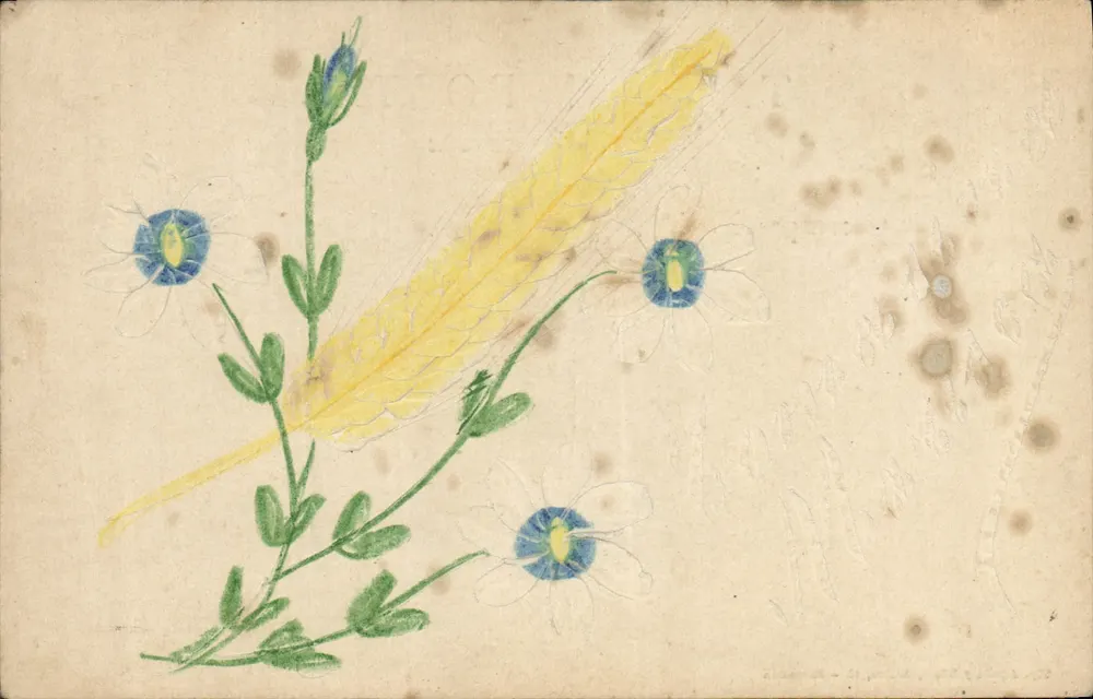 Fleurs et plume jaune — illustration — Tarjeta Postal Union Postale Universelle, Tip. Aguilà y Giliell, 17 - Barcelone - Awers