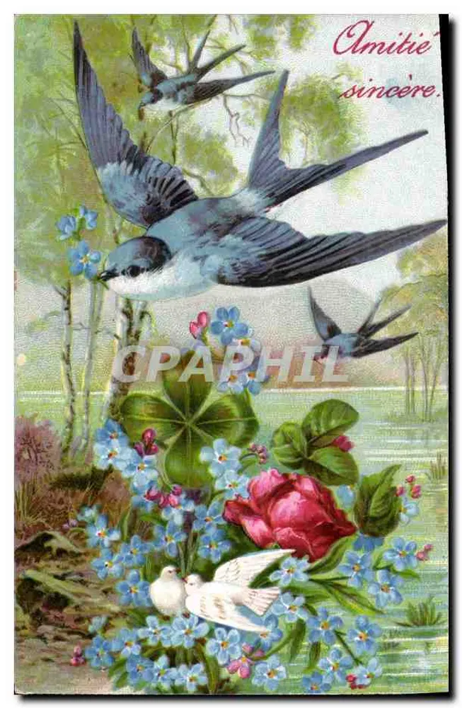 Vögel und Blumen — Echte Freundschaft — Verlag nicht sichtbar - Vorderseite