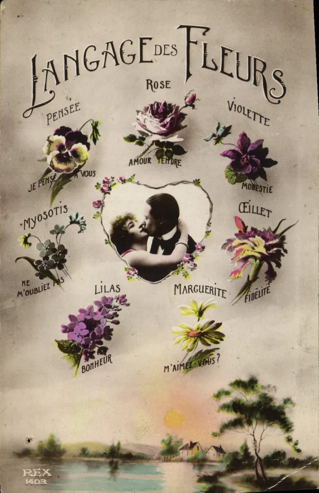 Sprache der Blumen — Rose, Violette, Myosotis — REX 1403 - Vorderseite