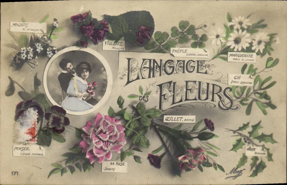 Linguagem das Flores — Editor Mag, n° 171 - Frente
