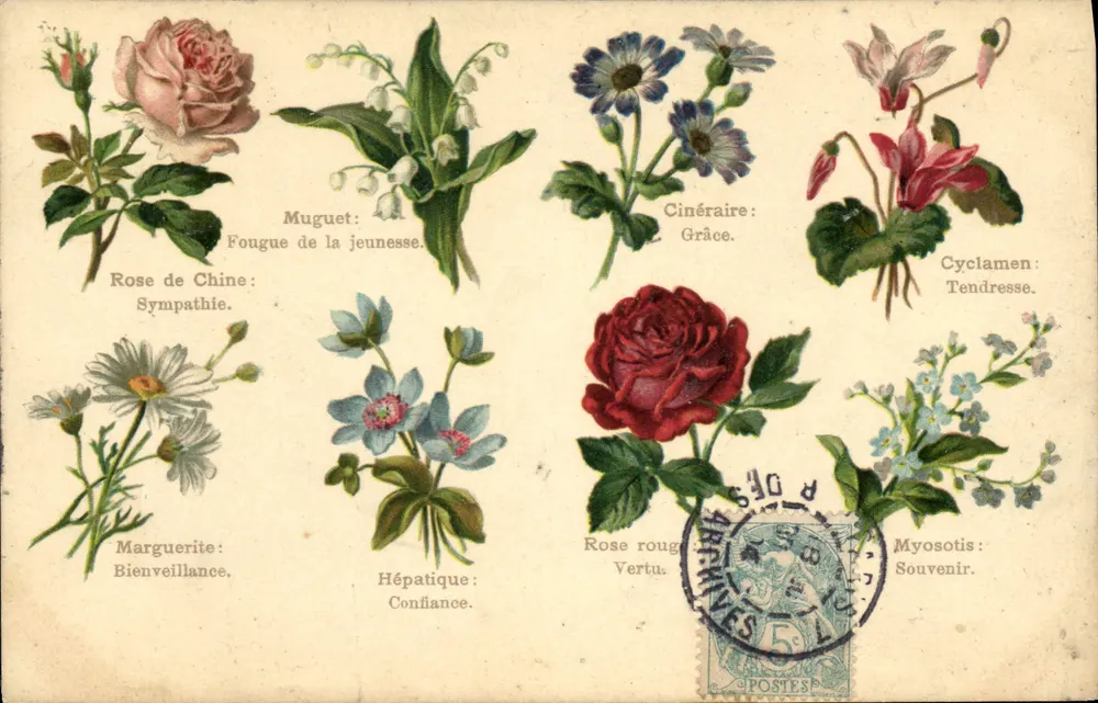 Blumen und ihre Bedeutungen — Verlag N.F. Éditions Marie, Nr. 251 - Vorderseite
