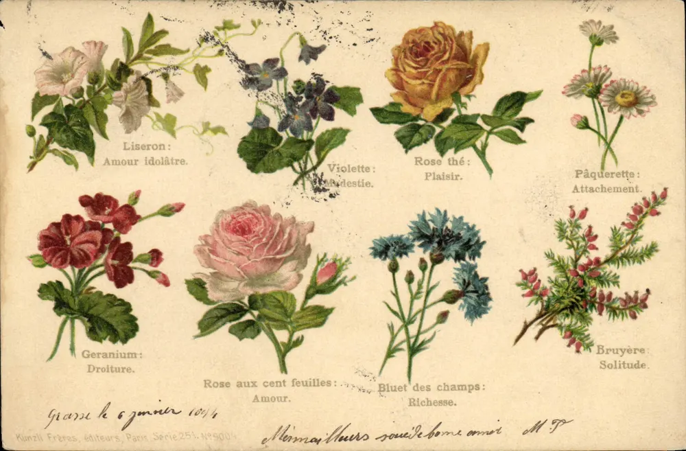 Blumen und ihre Symbole — Kunzli Frères, Paris, Serie 251, Nr. 900 - Vorderseite
