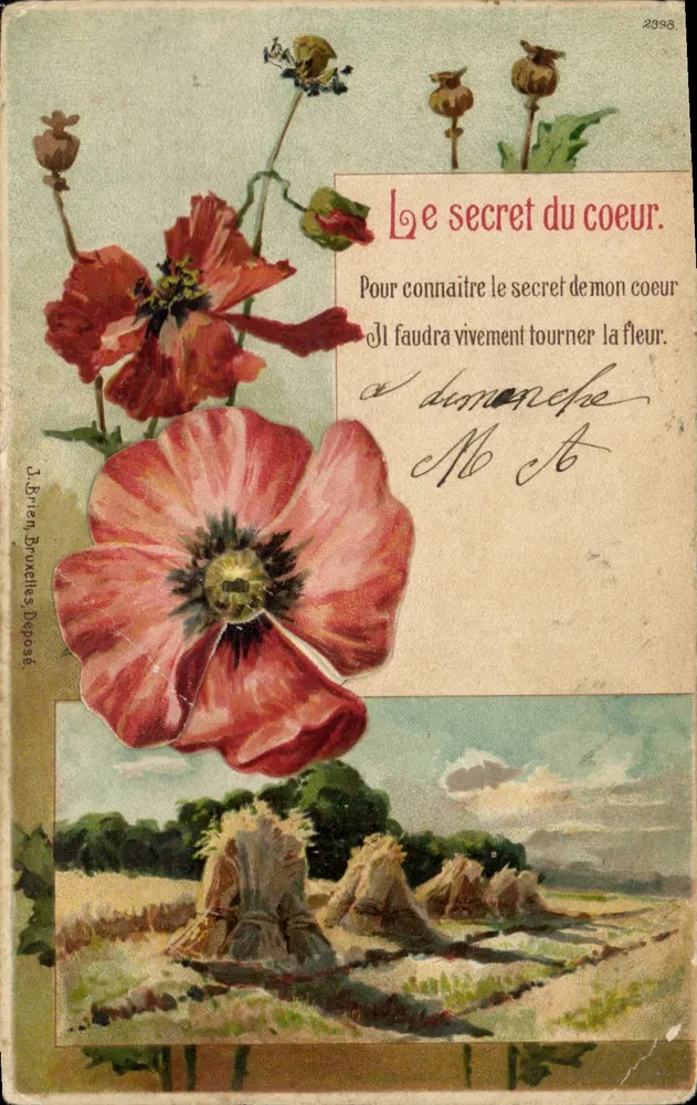Poppies — scène champêtre avec texte poétique — J. Brien Duvicelles Déposé - Vorderseite