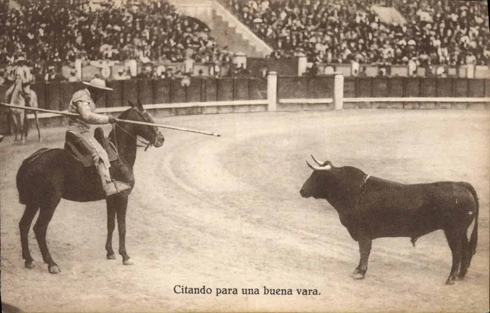 Toreador auf Pferd — Citando para una buena vara — Ansichtskarte - Vorderseite