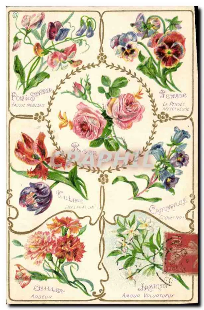 Flores simbólicas — Pois de senteur, pensée, tulipa, œillet, jasmin — K. F. Editores, Paris, Série 863 - Frente