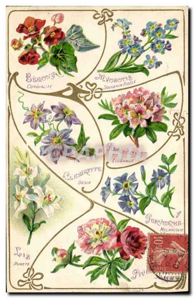 Flores de jardim — Begônia, Myosotis, Passiflora, etc. — K. F. Editores, Paris - Frente