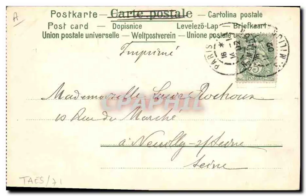 Linguagem das flores — Carta postal ilustrada — Editor não visível - Verso