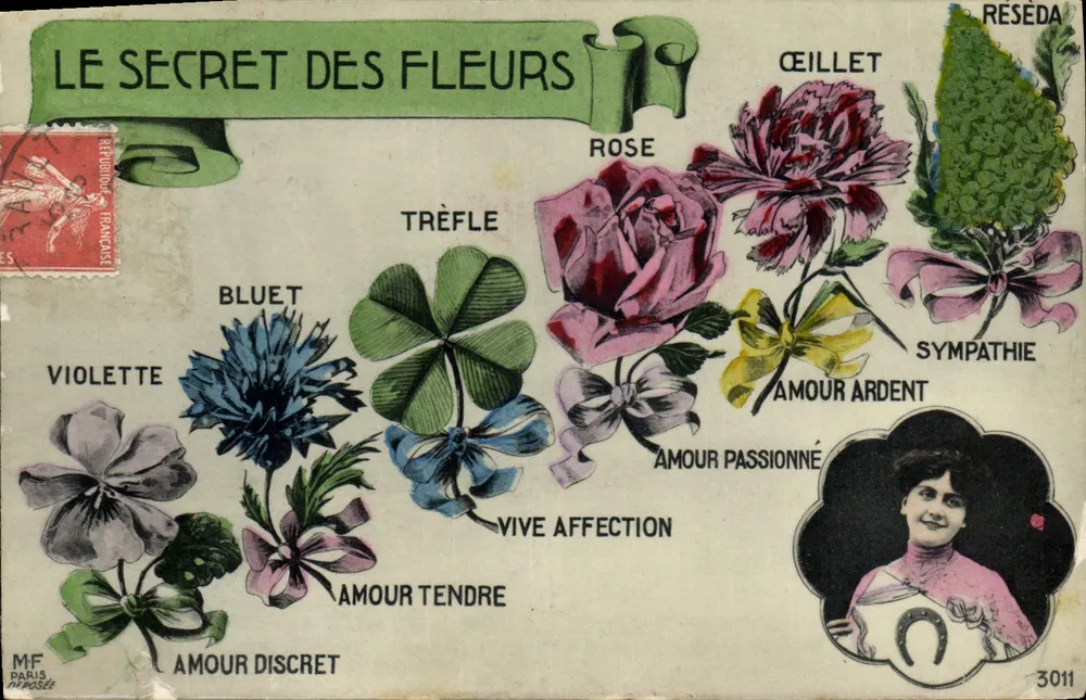 Das Geheimnis der Blumen — Verlag MF Paris — Nr. 3011 - Vorderseite