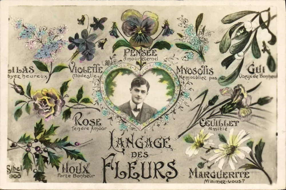 Lenguaje de las Flores — Sibbel 900 - Anverso