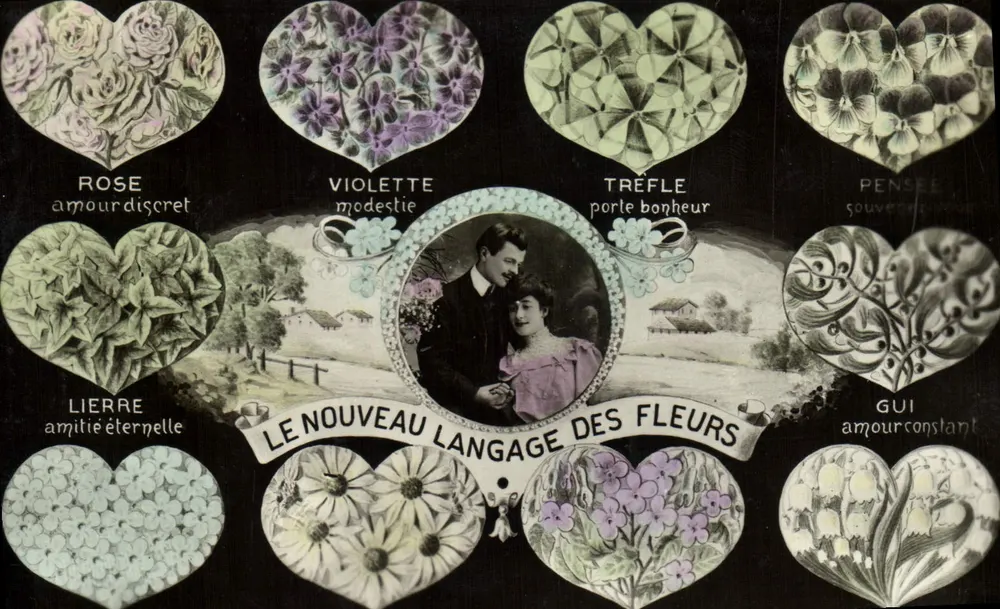 O Novo Linguagem das Flores — editor desconhecido, número de série não visível - Frente