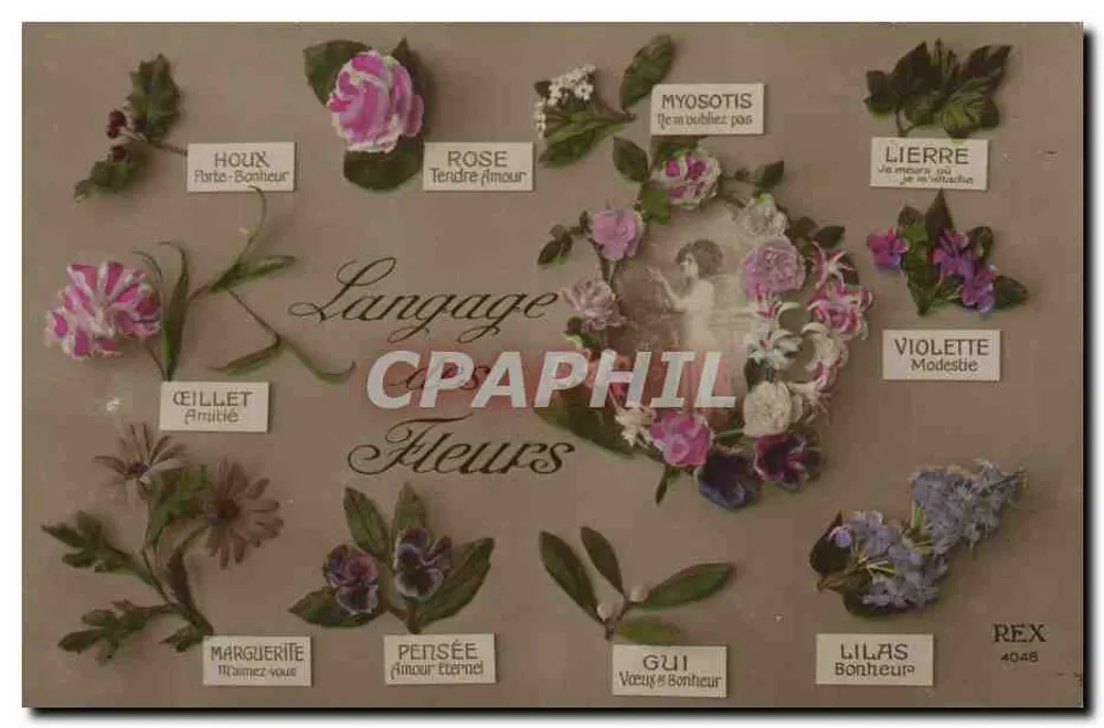 Langage des Fleurs — REX 4048 - Anverso