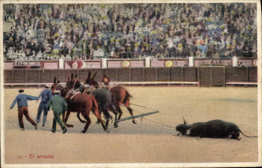El arrastre — espetáculo de touro puxado por cavalos — edição Postales Ferrán, Barcelona, n°12 - Frente