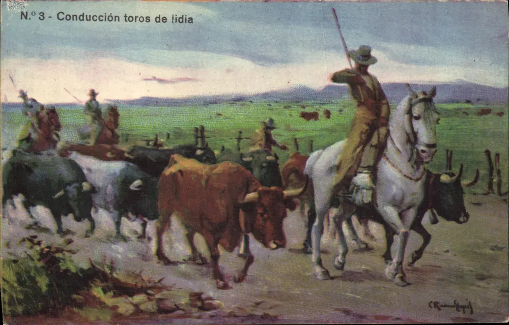 Conduzione tori da lidia — N.º 3 — C. Ruan López - Recto