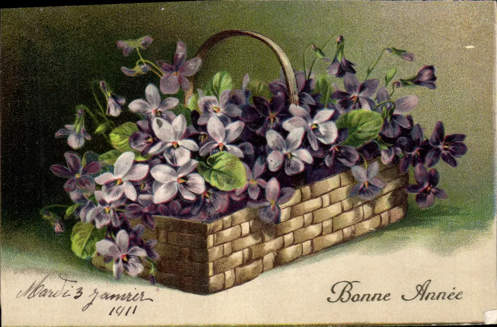 Violetas em um cesto — Boa Ano 1911 — Terça-feira 3 de janeiro — editor não visível - Frente