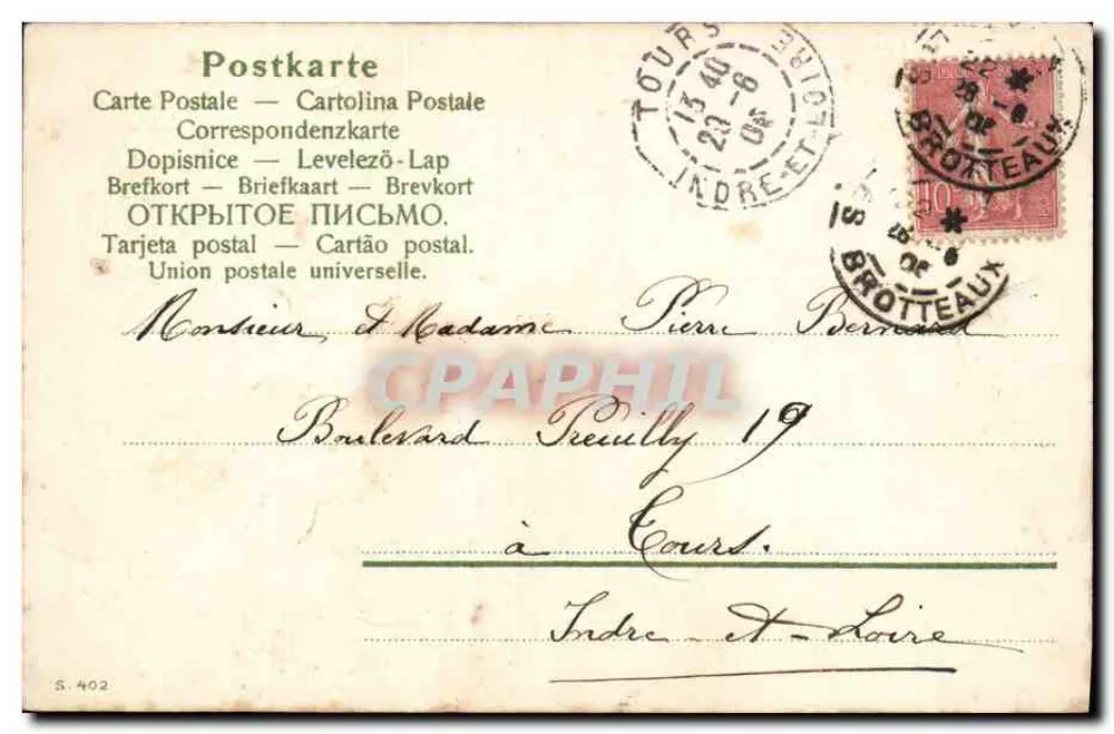 Kwiaty — fiolety i białe kwiaty — wydawca S. 402 - Rewers