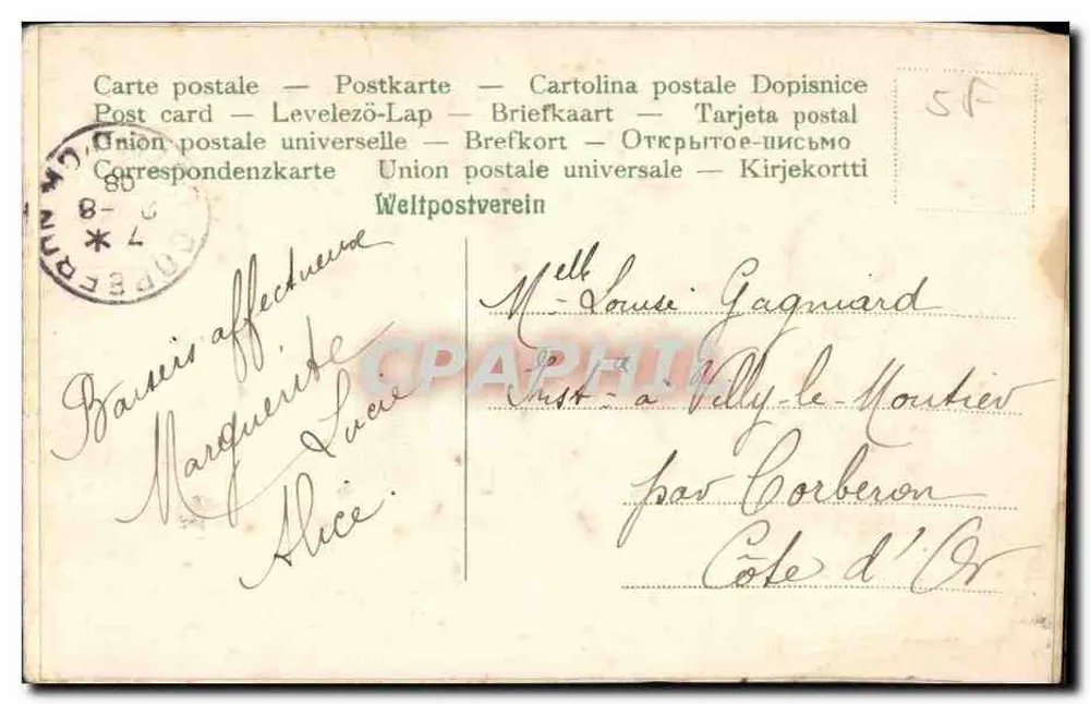 Flores de rosa — carta de vœux — editor não visível - Verso