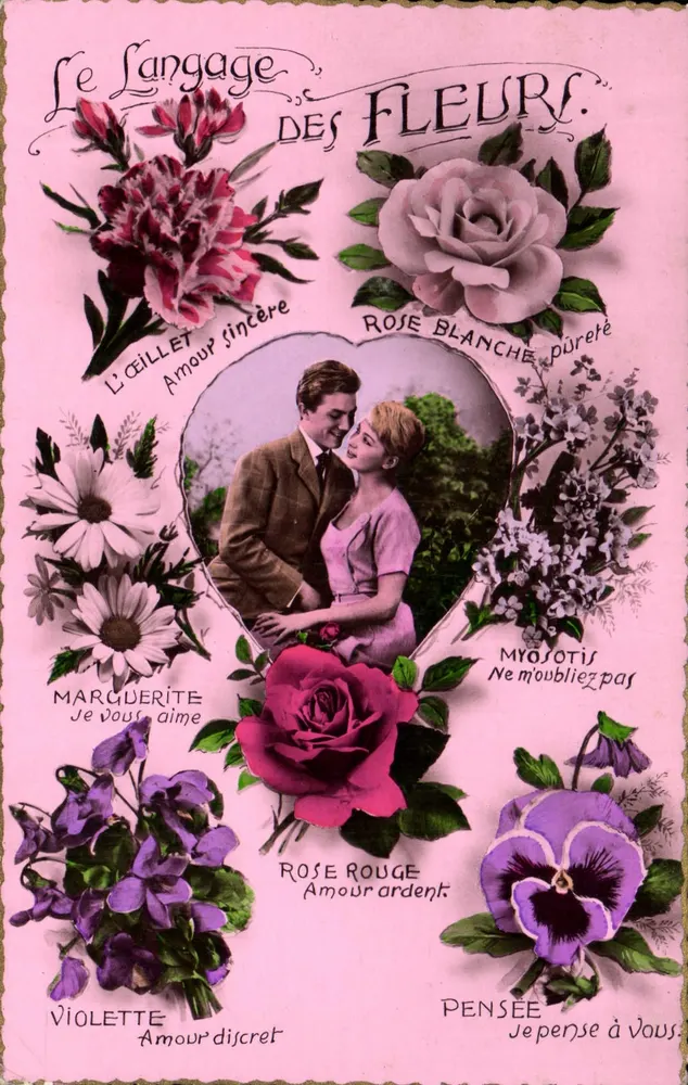 Le Langage des Fleurs — Carte illustrée de fleurs et de leur signification amoureuse — ABC, Série 11 - Recto