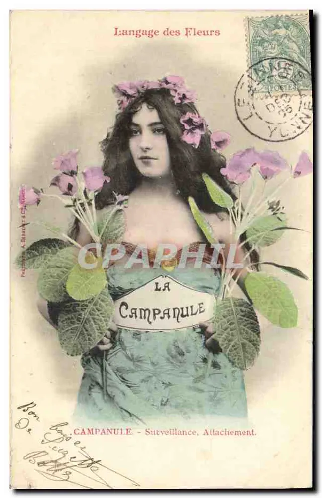 Die Glockenblume — Sprache der Blumen — Brust A. Stanley & Cie, Serie 1900 - Vorderseite