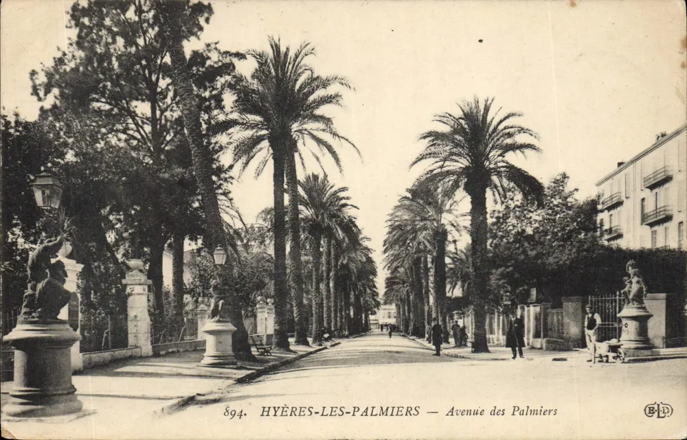Hyères-les-Palmiers — Avenue des Palmiers — Verleger B.L. n°894 - Vorderseite