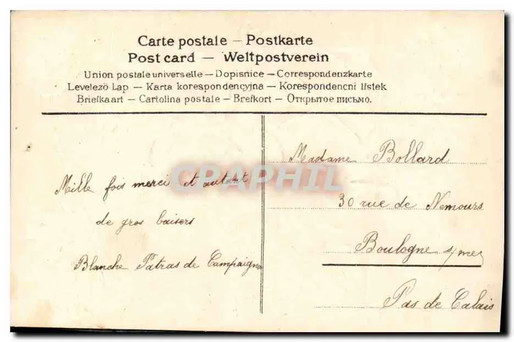 Flores violetas — buquê com leque — editor não visível - Verso