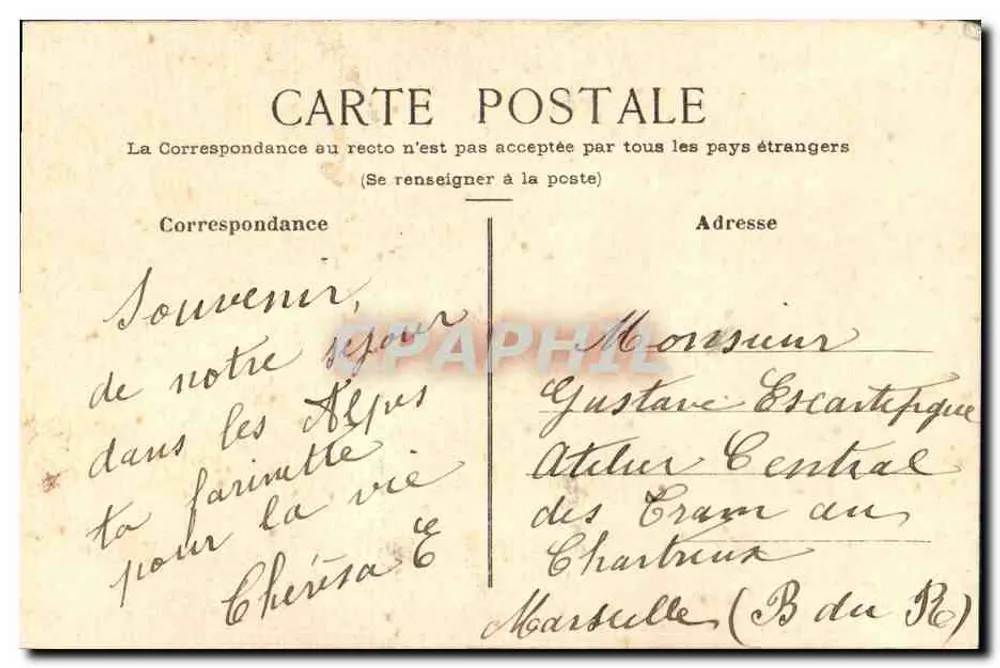 Arranjo de flores secas — Lembrete das Alpes - Verso