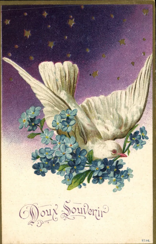 Pomba branca carregando flores de esquecimento — Lembrete doce — n° 7756 - Frente