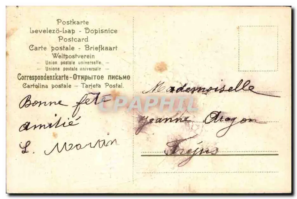 Pomba branca carregando flores de esquecimento — Lembrete doce — n° 7756 - Verso