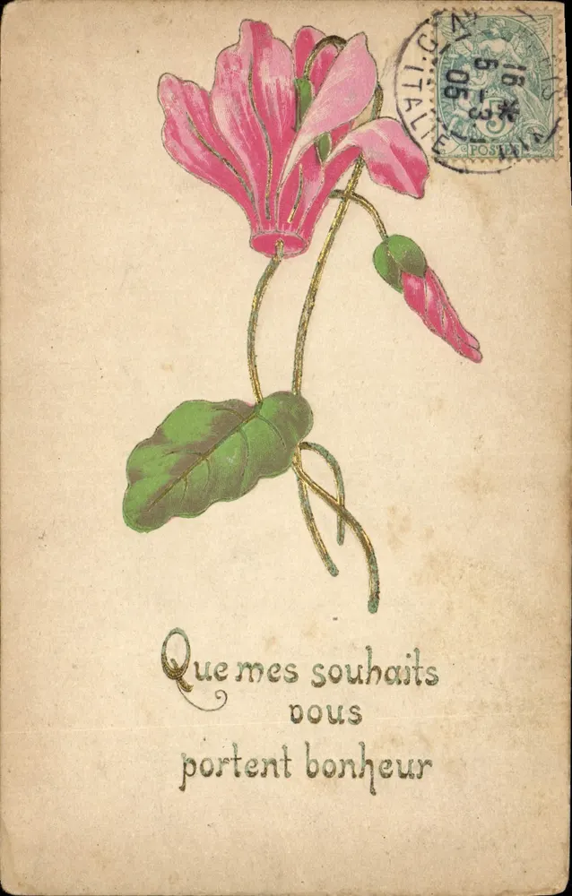Fleur rose — illustration — éditeur non visible - Frente