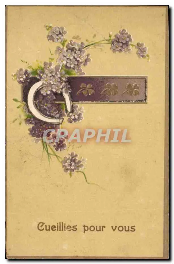 Flores de lavanda — Colhidas para você — editor desconhecido - Frente