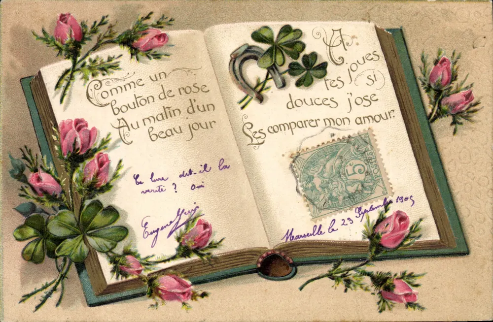 Livro aberto com rosas e folhas de trêfogo — texto romântico — editor não visível - Frente