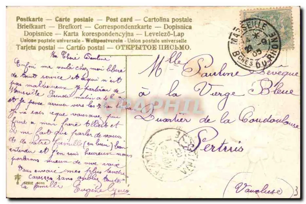 Livro aberto com rosas e folhas de trêfogo — texto romântico — editor não visível - Verso