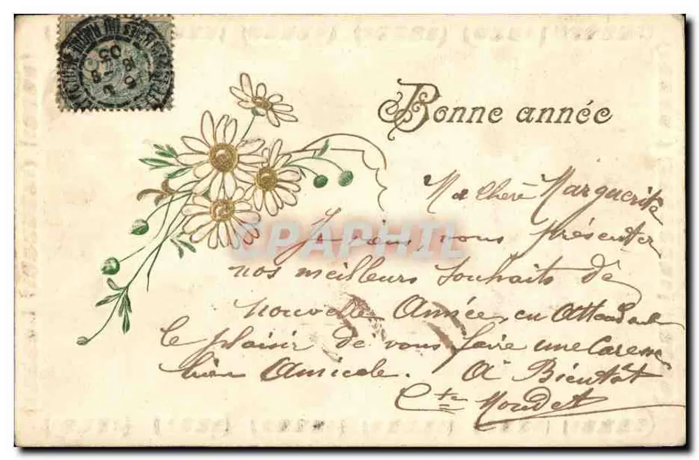 Carta postal de boas-vindas — flores de margarida — editor anônimo - Frente