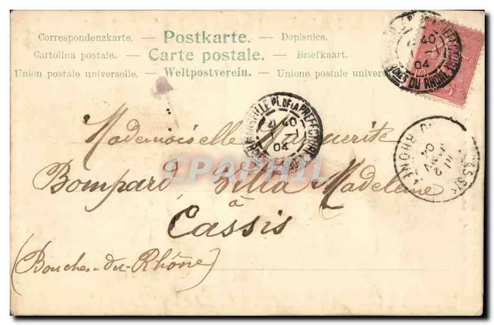 Carta postal de boas-vindas — flores de margarida — editor anônimo - Verso