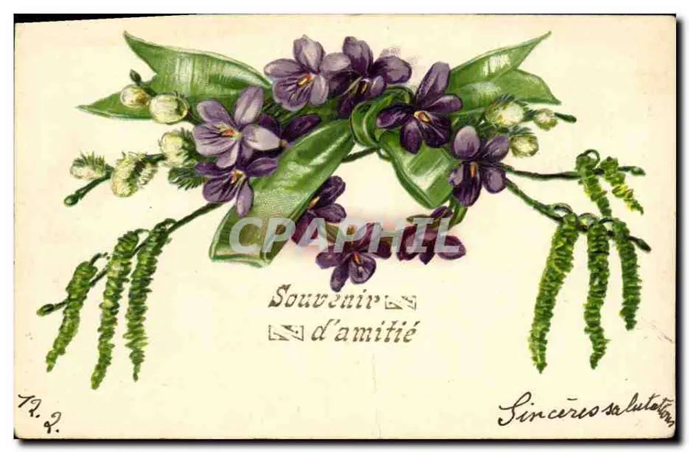 Buquê de violetas — Lembrete de amizade — editor não visível - Frente